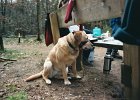 20040328 wandelen0005